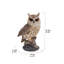 Statue longue hibou sur souches eared-44488702