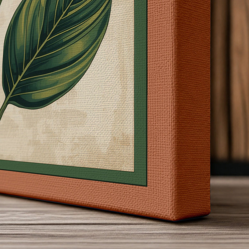 Study Botanical - Wrapped Canvas, 18x12 - 45.7 x 30.5 cm, Terracotta Border