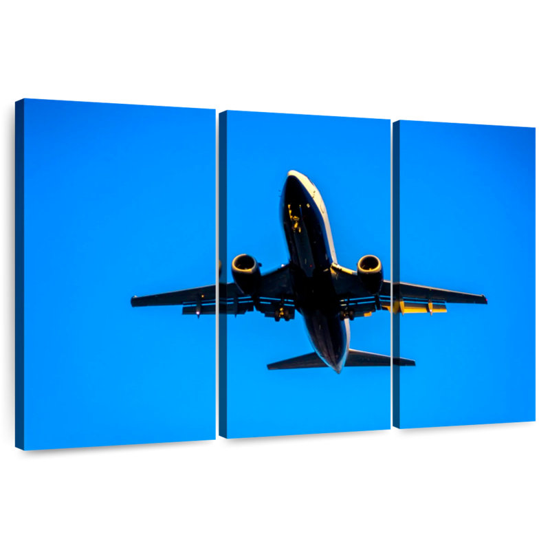 Mehar Boeing 737 Plane, 42" H x 65" W