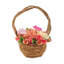 Panier à fleurs rose printanier 10 po The Holiday Aisle®