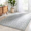 Serenity Geometric Synthetic Area Rug-57329407