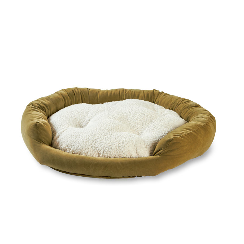 Lit pour chien Chamari Donut, Mousse, Moyen (l 32 po x P 32 po x H 8 po)