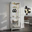 Shayne Lighted Curio Cabinet