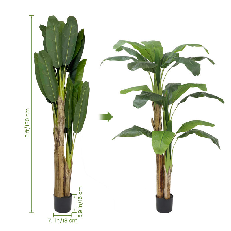 Plante à feuilles de bananier 70,87 po