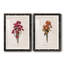 " Sketchbook Chrysanthemum " 2 - Pieces-286667870-286667825-286667848