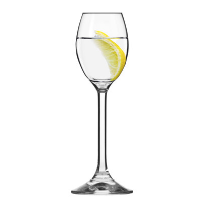 Bradrick 2.4oz. Shot Glass / Shooter Set
