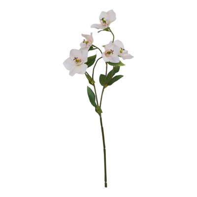 Anastasija Arrangement