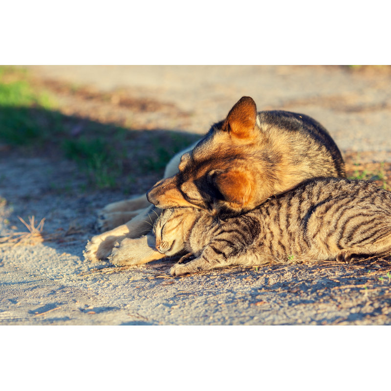 " Dog And Cat " by Vvvita, 12" H x 8" W