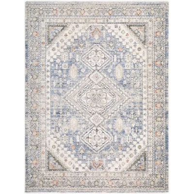 Lausanne Oriental Area Rug