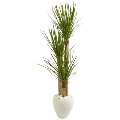 66'' Faux Yucca Tree in Earthenware Pot