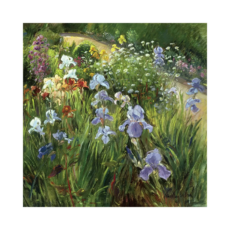 Irises And Oxeye Daisies by Timothy Easton - Painting on Canvas, 66.04 cm H x 66.04 cm W x 1.91 cm D, Wrapped Canvas