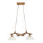 Luminaire suspendu rétro à 2 lumières