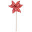 Tiges de poinsettias Clintonpark-1203471265