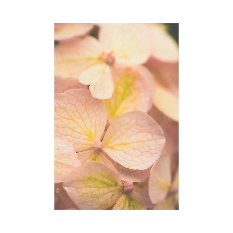 Lauds - Morning Prayer II by Olivia Joy StClaire - Wrapped Canvas Print, 66.04 cm H x 45.72 cm W x 1.91 cm D
