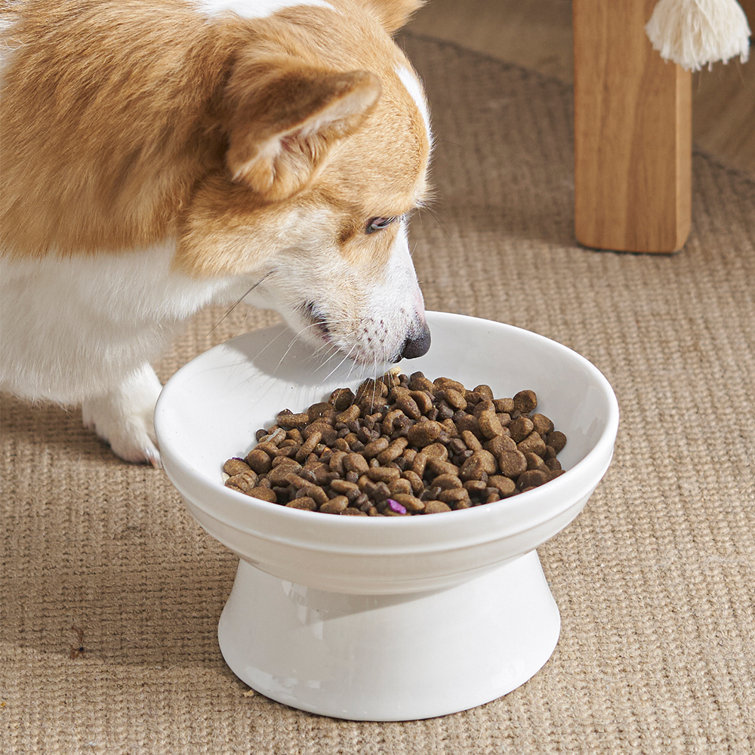 Farmhouse Pet Personalized Enamel Dog Bowl