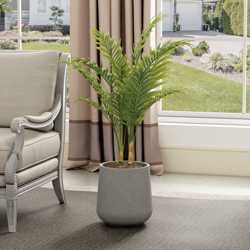 Pot de fleurs en béton Cosimo, H 17,3 po x l 16,5 po x P 16,5 po