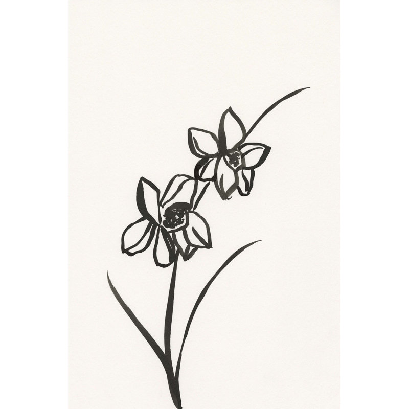 Encre, croquis botanique, H 18 po x l 12 po x P 1,25 po