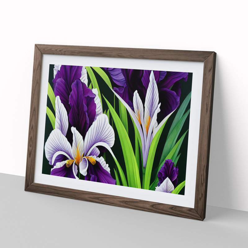 XH1022-6107X Modern Iris Flowers Vol.1 - Single Picture Frame Print, 46cm H x 64cm W x 2cm D, Walnut