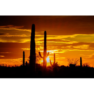 Desert Landscape at Sunset - Photographie sur toile tendue