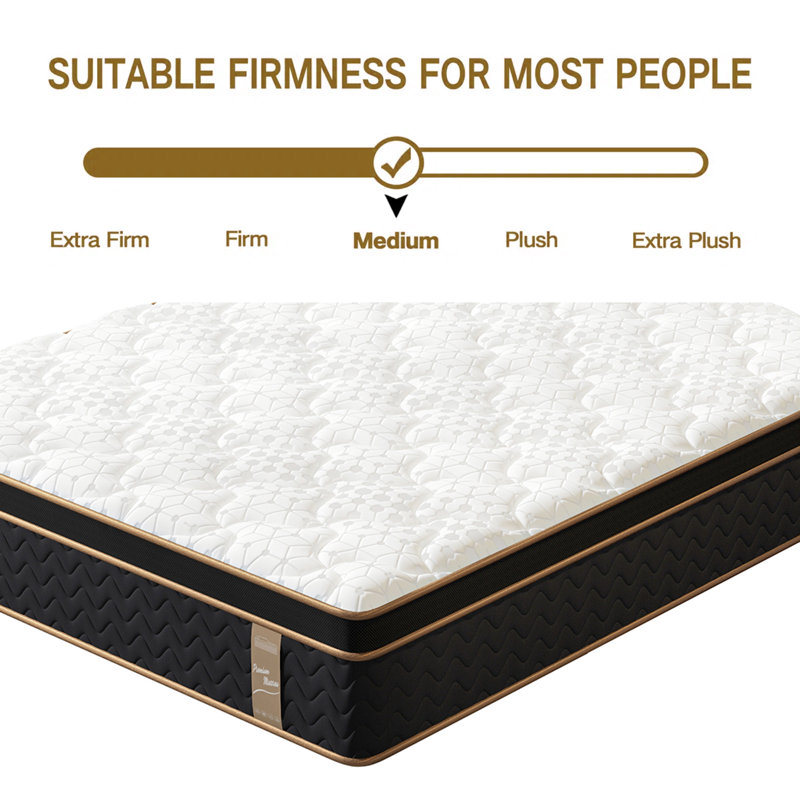 10 Inch Hybrid Mattress Eurotop With Gel Memory Foam Motion Isolation Individually Wrapped Pocket Coils Pressure Relief Mattress