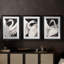 ANIMALS Series CECXLI - Impression encadrée sur mesure de qualité supérieure - 3 pièces-869102502