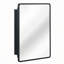 Armoire à miroir murale noire-1173417895