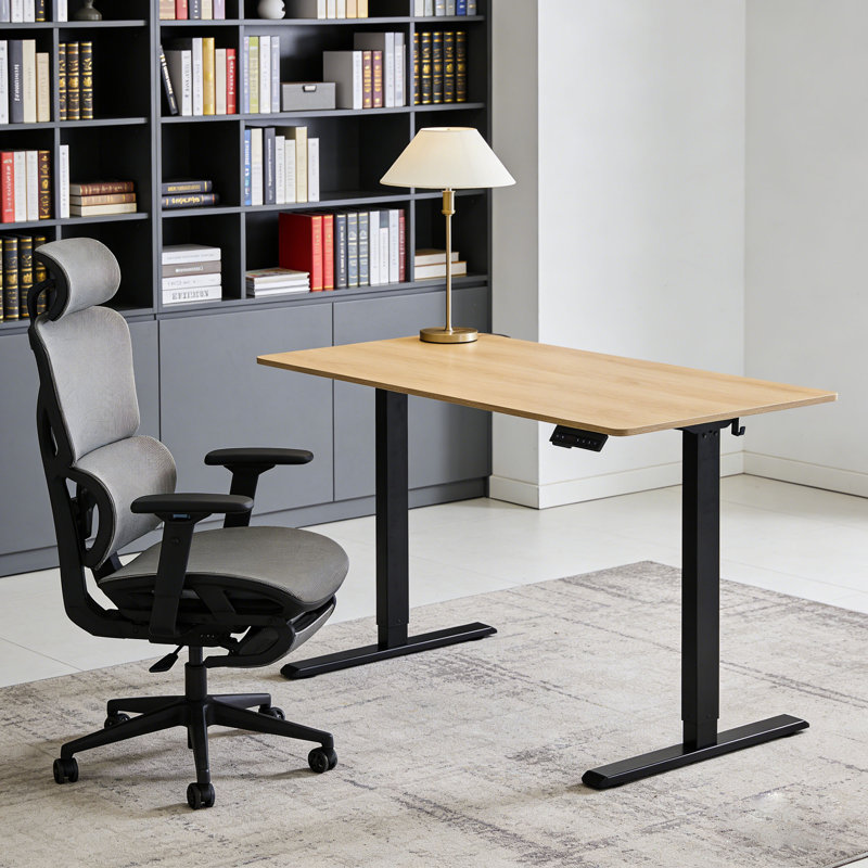 Electric Standing Desk, Adjustable Height Stand up Desk, 23x47 Inches Sit Stand Home Office Desk