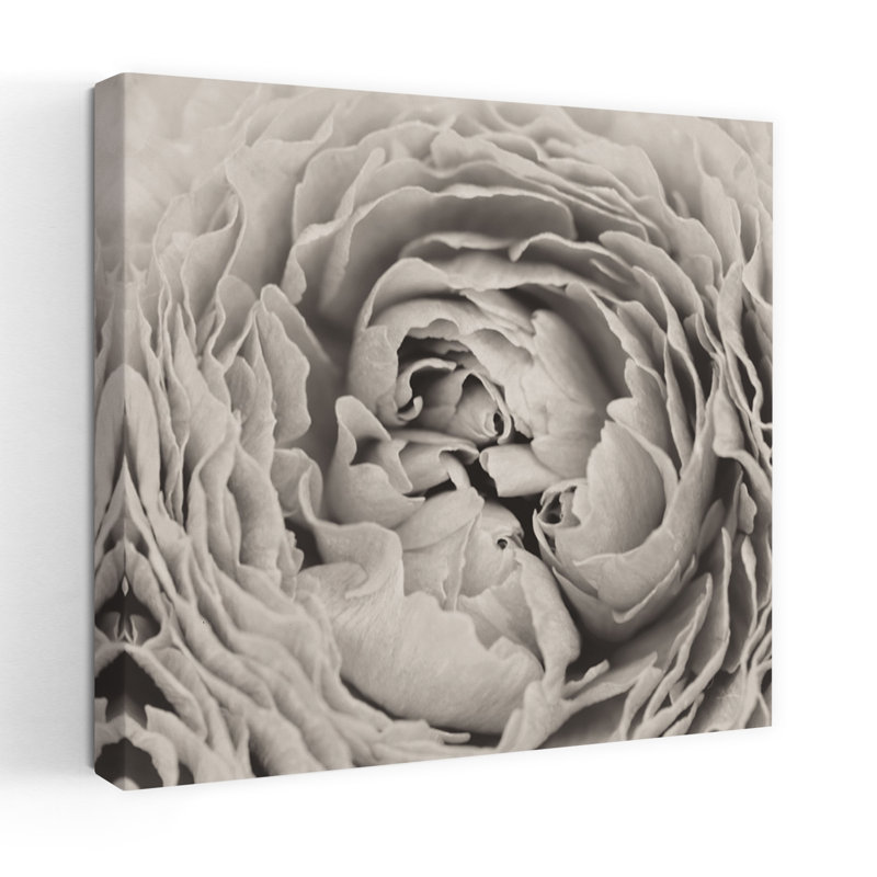 Art contemporain pivoine, H 18 po x l 18 po