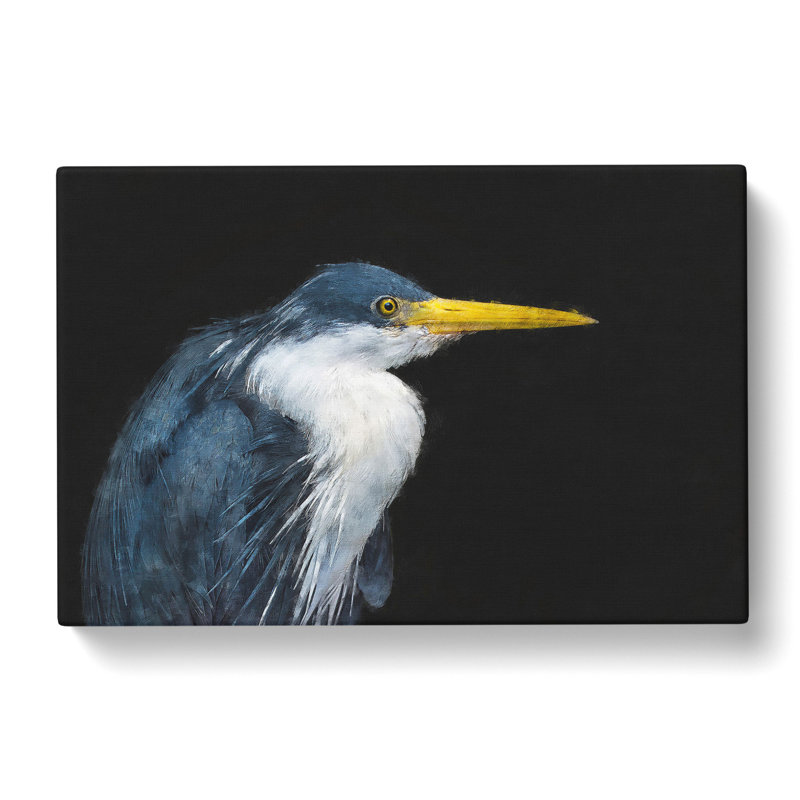 Pied Heron - Wrapped Canvas, 40cm H x 60cm W x 3cm D