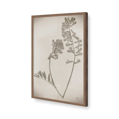 «Wildflower Journal Vintage VI» par Nathan Larson, reproduction d'art