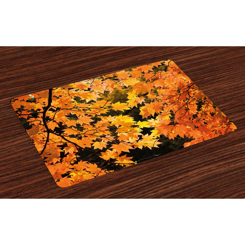 Rafael Fall Vivid Autumn Maple Leaves Placemat