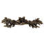 Carlotta Bar / Handle Pull-10365394
