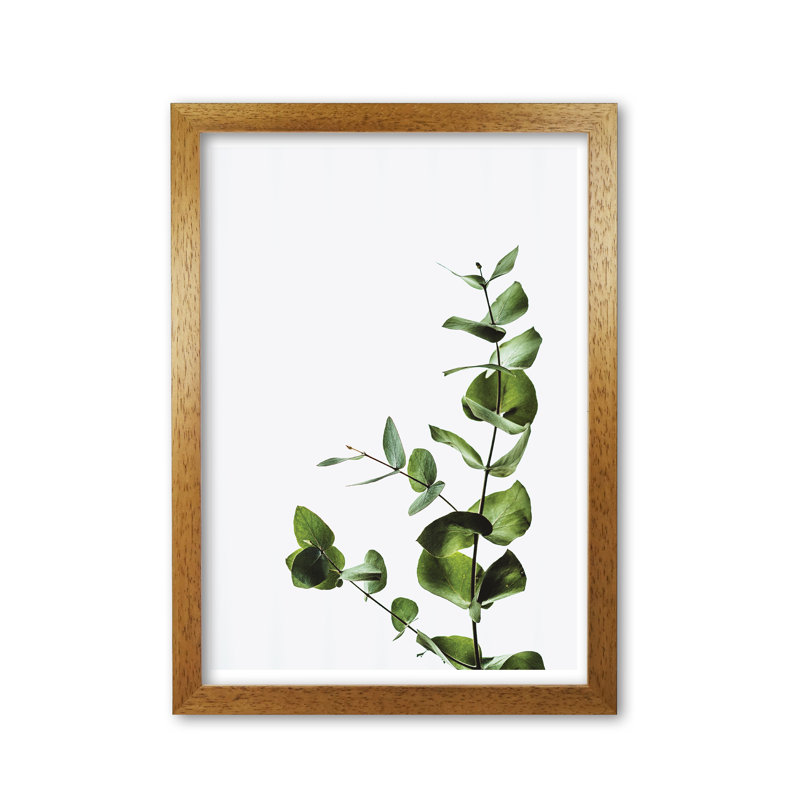 Elegant Plant - Print, Honey Oak Frame, 60 cm H x 42 cm W x 5 cm D