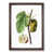 Walnut Framed selected