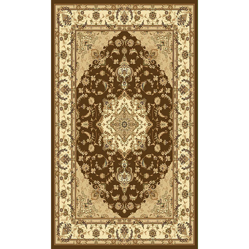 Aariv Oriental Area Rug in Brown