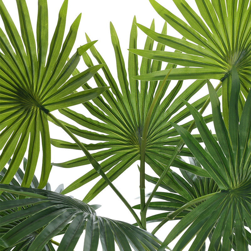 Plant, 65cm H x 50cm W x 50cm D