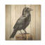 Mysterious Raven Guardian I - Animal corbeau sur bois-103114106