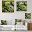 «Mums Fragrant Elegance», reproduction sur toile-97037992-97037995