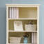 American Style Small Bookcase