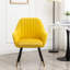 Chaise d'appoint rembourrée en velours Tuchico Contemporary (Chaise d'appoint)