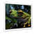 White Single Picture Framed