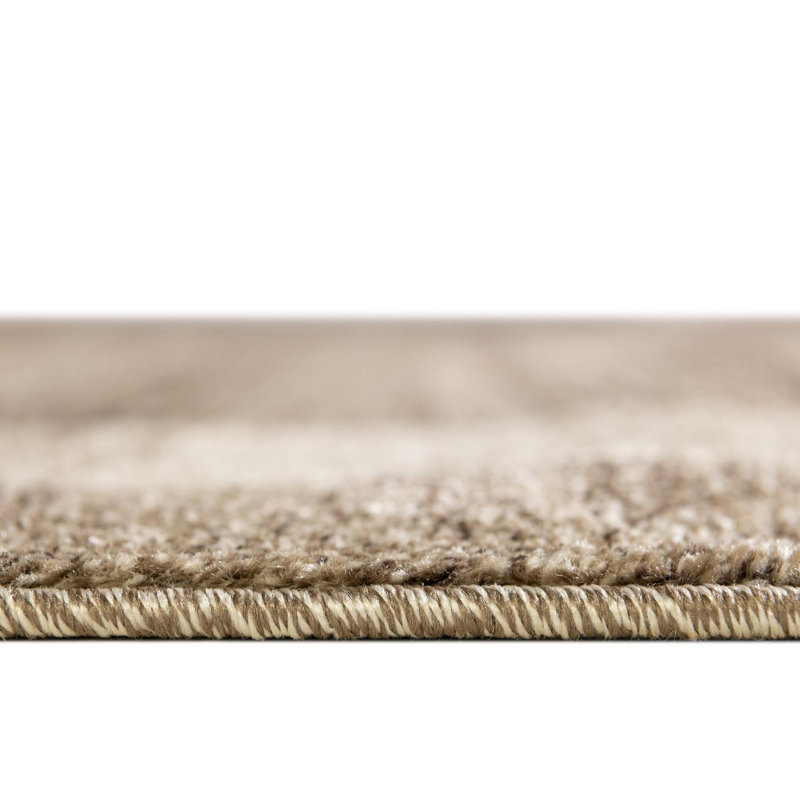 Desdemona Striped Indoor Rug, Rectangle 4' x 6'