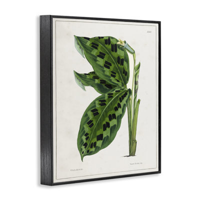 «Gullee Art» par Tina Higgins Designs, Inc.