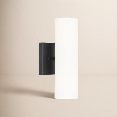 Capalino 2-Light Medium Sconce