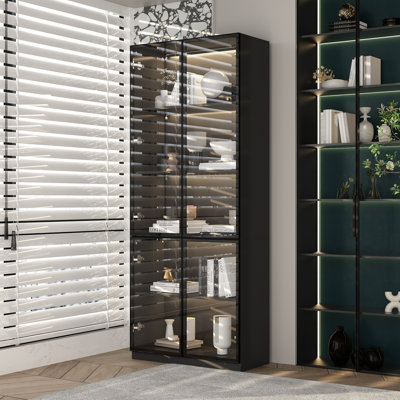 Modern Glass Door Bookshelf With Tri-Colour LED Lighting And Adjustable Shelves