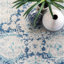 Oriental Area Rug-23806655
