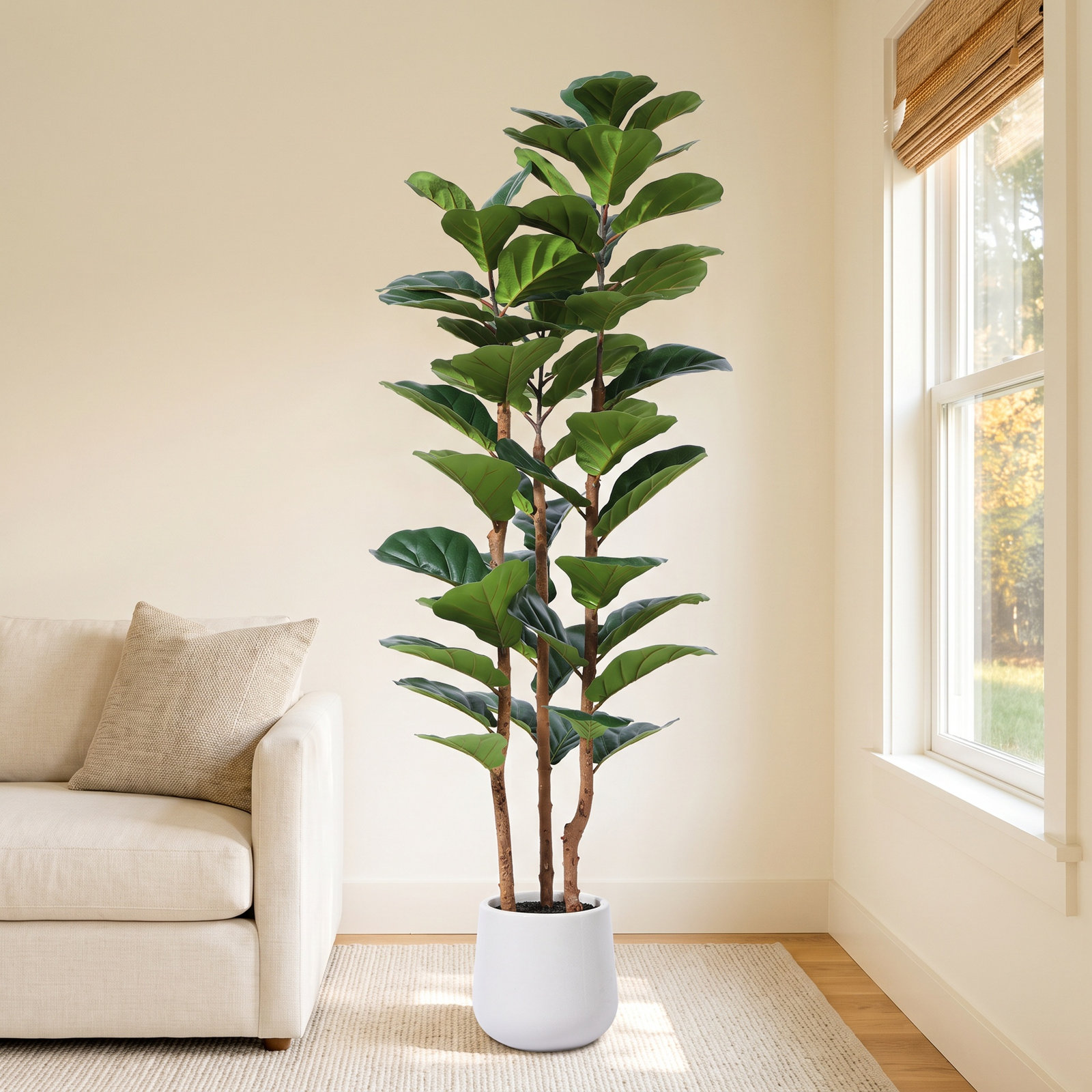 Adarna Fiddle Leaf Fig Tree in Pot, 60" H x 20" W x 20" D