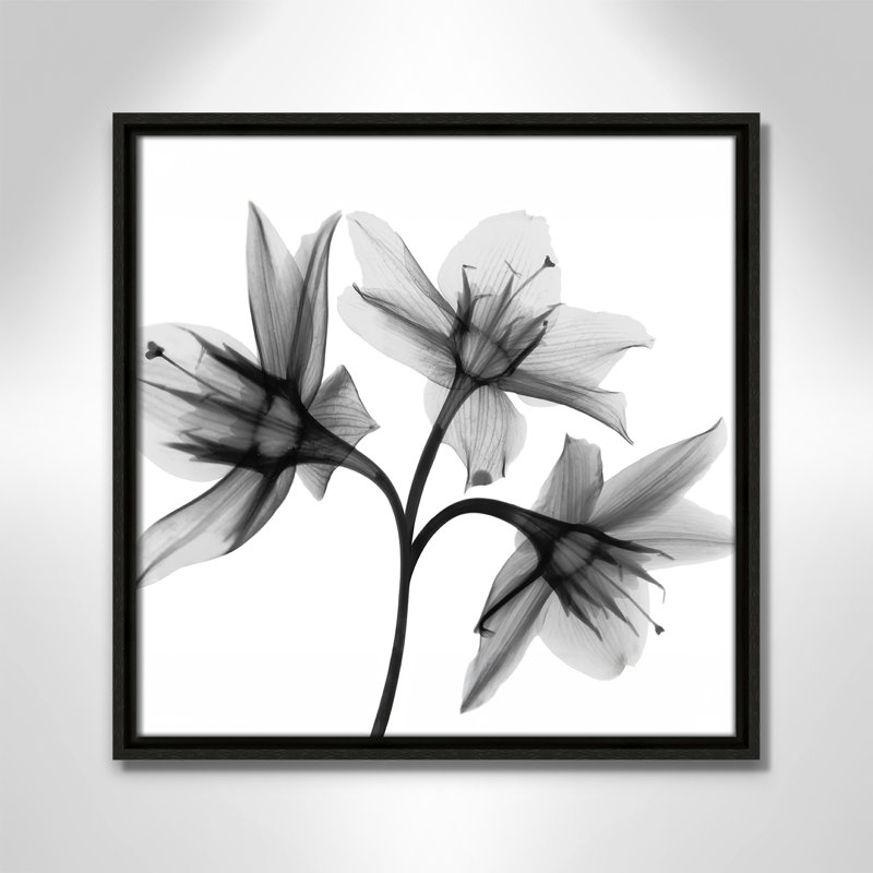 Collection Twins & Trio «Daffodil Trio - Square Version» par Albert Koetsier, H 17,5 po x l 17,5 po, Espresso