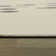 Luanda Cream/Navy/Blue Area Rug