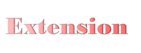 Extension Logo